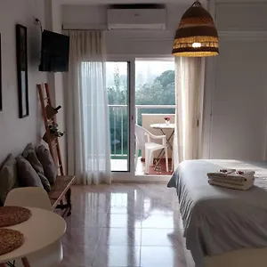 https://apt-jupiter-rmli.hotelsinnerja.org